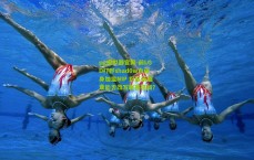 pg模拟器官网-前LGD打野shad0w自由身加盟NIP 野区新篇章能否改写联赛格局？