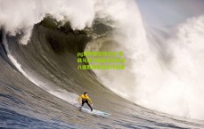 pg模拟器在线试玩-库兹马霸气回应交易风波，八连胜便是流言终结者