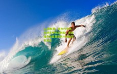 pg模拟器：新生代中场告别意甲转战俄超，波波维奇加盟莫斯科中央陆军引关注